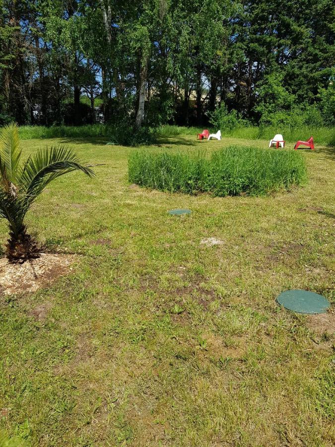 02 - Tres Joli 2 Pieces Avec 3 Lits Pouvant Accueillir Jusqu'A 5 Personnes, Situe Au Rdc Avec Entree Independante, Une Place De Parking Reservee Devant L'Entree Et Terrasse Sur L'Arriere Donnant Sur Parc Arbore, Tout Le Linge De Maison Est Fourni Razac-sur-lʼIsle Exterior foto
